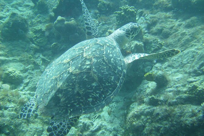Private St. Maarten Cruise - Hakuna Matata Catamaran - Private Hakuna Matata Catamaran: What Makes This Day Different