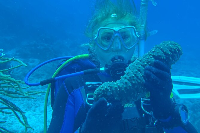Private St. Maarten Cruise - Hakuna Matata Catamaran - Snorkeling Gear, Sea Life, and How to Get Real Value