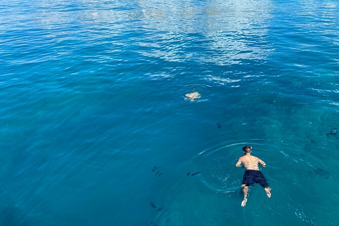 Private Sunset Catamaran Cruise in Waikiki - Price and value: when $699 per group makes sense