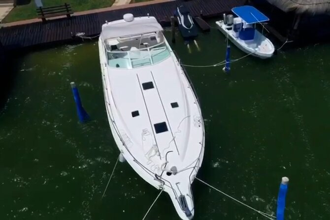 Private Yacht 46ft Sea Ray Snorkel up to 15 pax 23P2 - Price and value: what $260 per group really means