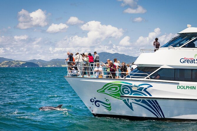 Private Yacht Cruise to Dolphin House with Lunch : Hurghada - Two Snorkeling Stops: What You’ll See in Real Terms