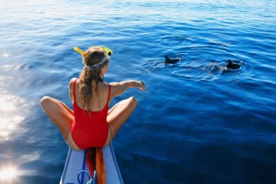 Private Yacht Cruise to Dolphin House with Lunch : Hurghada - 8:00 am Pickup to Yacht Boarding: How the Morning Flows