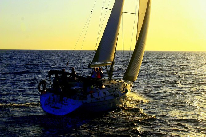 Private Yacht Excursion from Puerto Colon 3 hours - On the water: how whale and dolphin spotting actually plays out