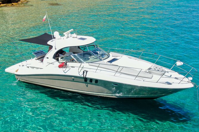 Private Yacht Sea Ray all-inclusive charter in Cabo - Pacific Coast cruising: whale season sightings without long bus rides