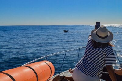 Private Yacht, Snorkeling or Sunset in Cabo San Lucas - Stop 1: Arch of Cabo San Lucas from the best angle