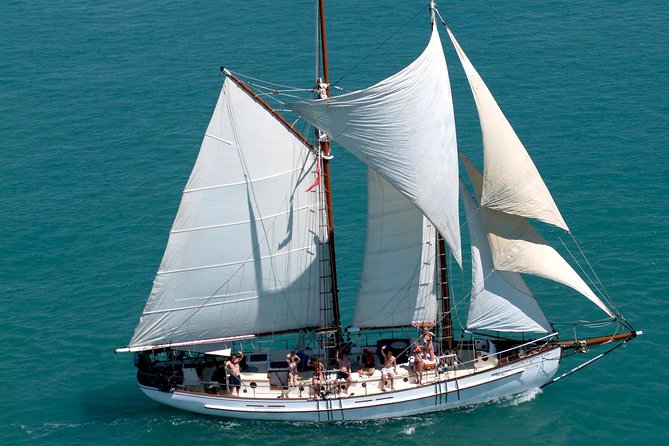 Providence Whitehaven Beach Sailing and Snorkeling Cruise - Key Things to Know Before You Go