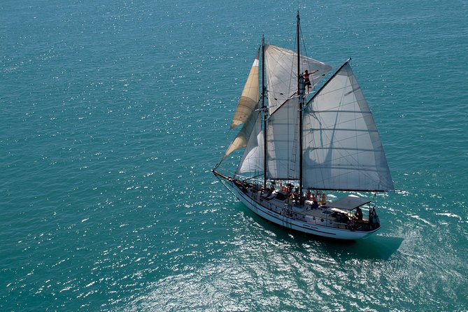 Providence Whitehaven Beach Sailing and Snorkeling Cruise - Timing From Coral Sea Marina: the 7 a.m. Start That Shapes the Whole Day