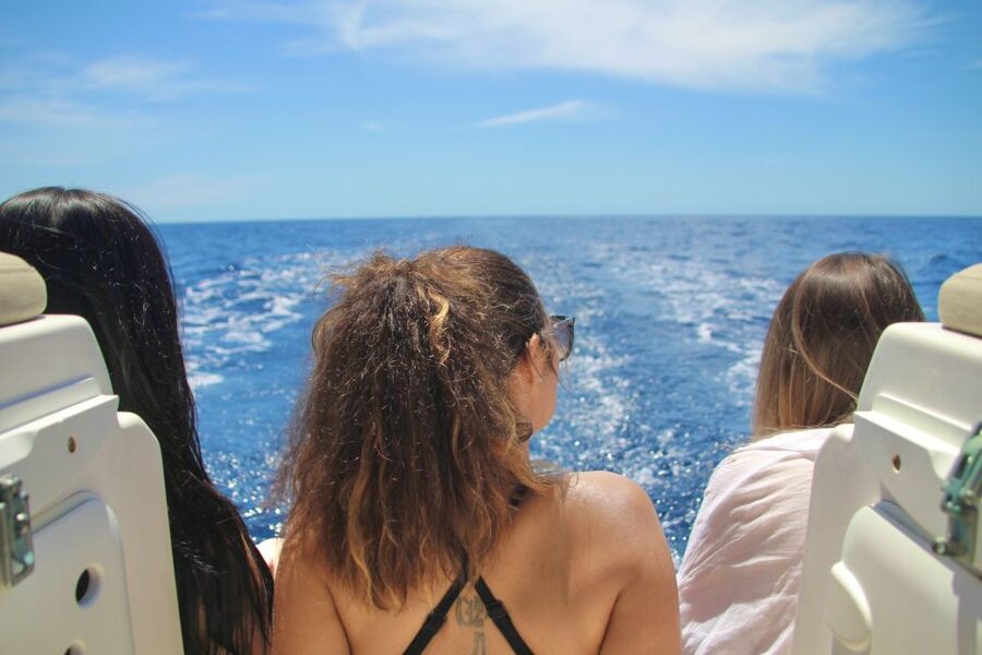 Puerto Colon : Whale & Dolphins Sailing Excursion - Key things you’ll remember from this Tenerife whale & dolphin sail
