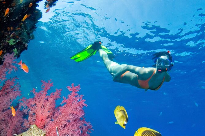 Puerto Morelos Catamaran Reef Sail and Snorkel - Onboard Experience: Small-Group Comfort and a Crew That Works