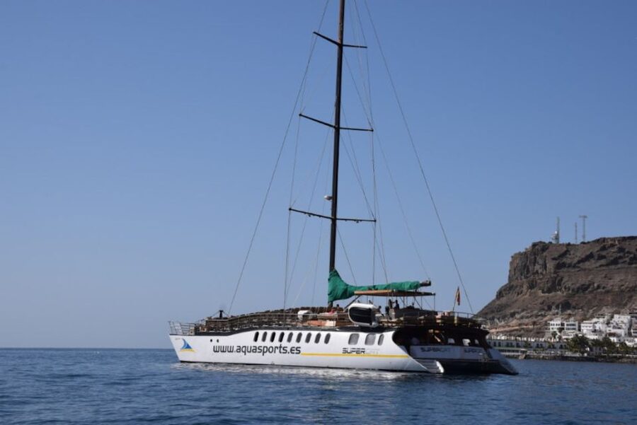 Puerto Rico : 2 hour Dolphin Catamaran Excursion - Key Things to Know Before You Go