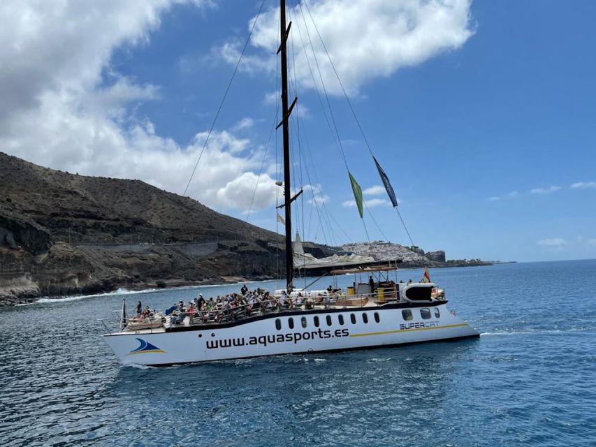 Puerto Rico : 2 hour Dolphin Catamaran Excursion - Languages and Live Commentary: More Than Just Watching