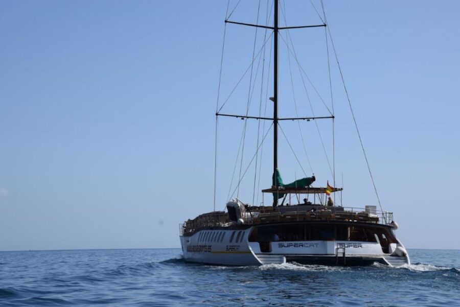 Puerto Rico : 2 hour Dolphin Catamaran Excursion - Two Hours Off Gran Canaria’s South: What the Experience Feels Like