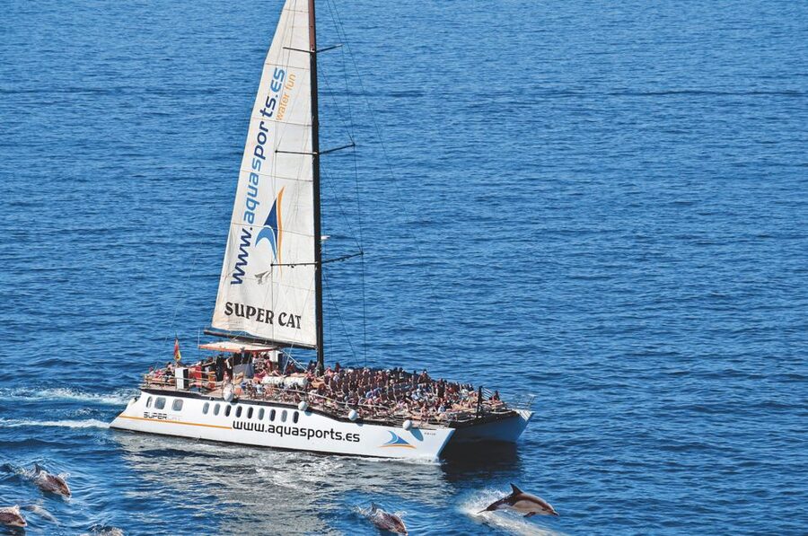 Puerto Rico : 2 hour Dolphin Catamaran Excursion - Onboard the Catamaran: Comfort, Space, and the Crew’s Pace