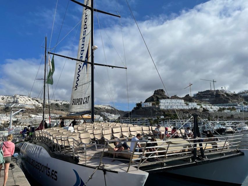 Puerto Rico : 2 hour Dolphin Catamaran Excursion - The Included Drink: A Small Perk That Actually Helps