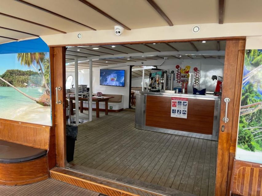Puerto Rico : 2 hour Dolphin Catamaran Excursion - What You’ll Look For: Dolphins, Whales, Turtles, and Flying Fish