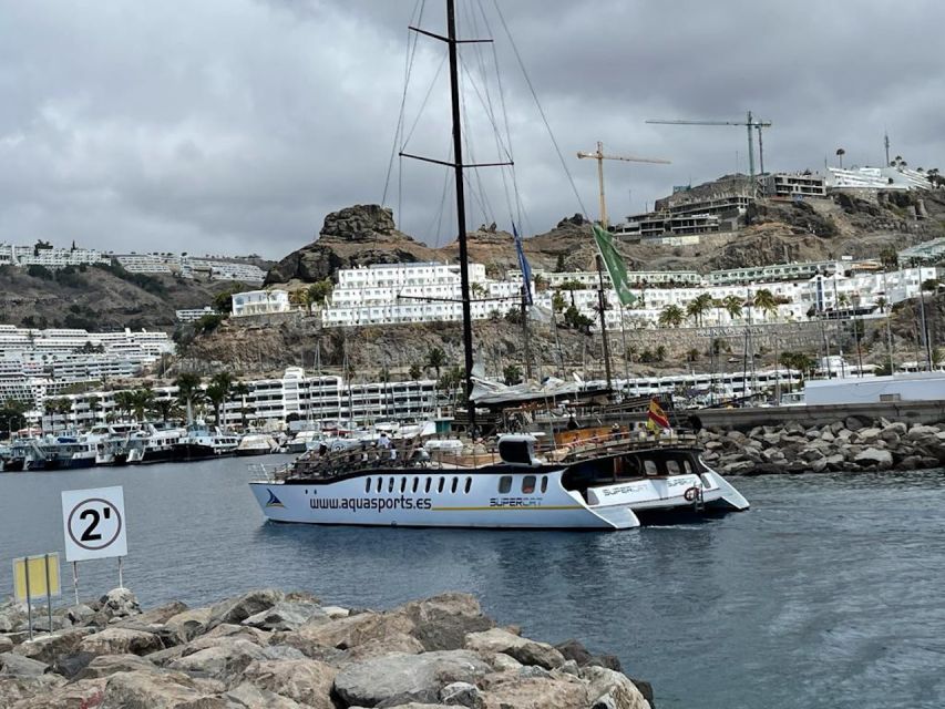 Puerto Rico : 2 hour Dolphin Catamaran Excursion - Seasickness and Sun Reality Check: Your Best Prep
