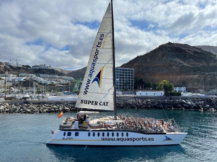 Puerto Rico : 2 hour Dolphin Catamaran Excursion - The Sighting Guarantee: How the Second Ticket Changes the Risk