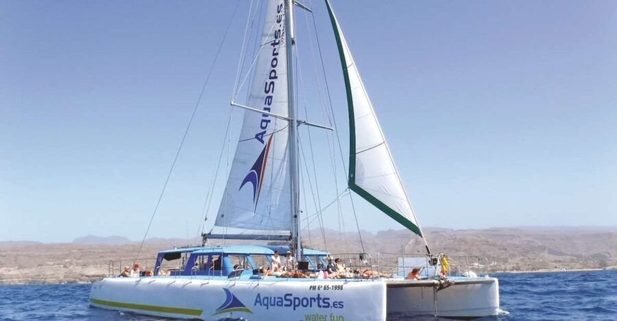 Puerto Rico: 4-Hour Catamaran Excursion in the South - Getting on board: the south-of-island pickup that actually matters