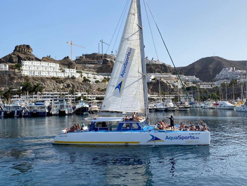 Puerto Rico: 4-Hour Catamaran Excursion in the South - The snorkel stop: clear water, marine spotting, and basic gear comfort