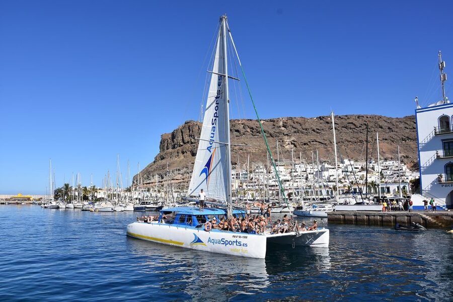 Puerto Rico: 4-Hour Catamaran Excursion in the South - Dolphins and big wildlife: how to treat sightings realistically