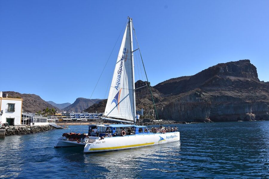 Puerto Rico: 4-Hour Catamaran Excursion in the South - Who should book this catamaran trip (and who should think twice)