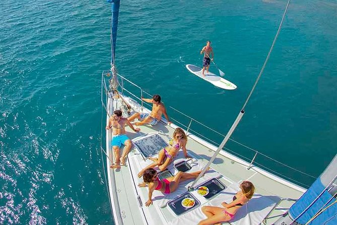 Puerto Vallarta Luxury Sailing with Premium Open bar & lunch - Wildlife: What You Can Spot in Banderas Bay