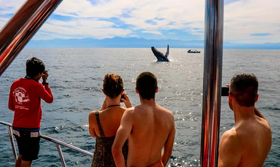 Puerto Vallarta: Mega Yacht Whale Watching Sunset Cruise - The mega yacht part: you get space, not cramped boats-and-tours vibes