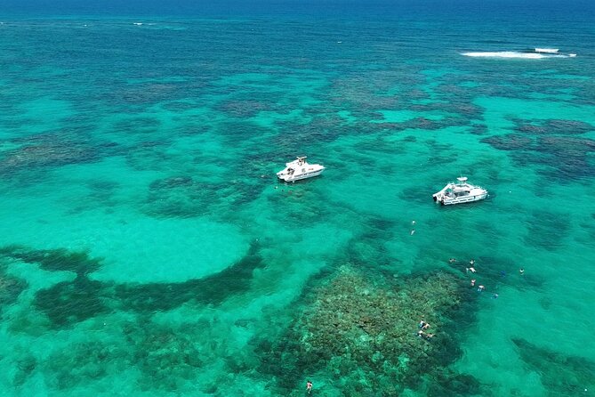 Punta Cana: Catamaran Tour, Reef Snorkeling and Unlimited Drinks! - Key highlights worth your attention