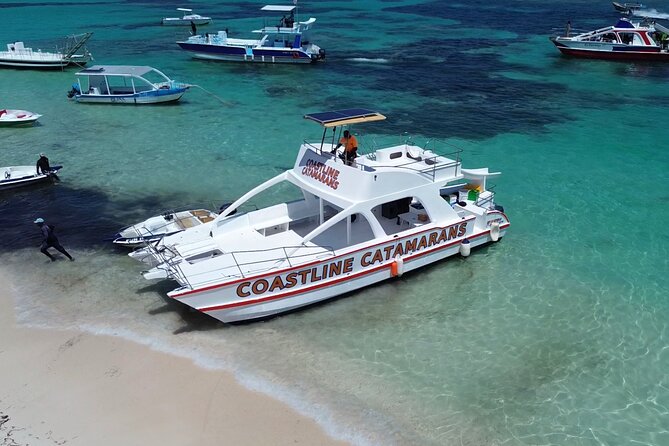 Punta Cana: Catamaran Tour, Reef Snorkeling and Unlimited Drinks! - Transportation in Punta Cana: the part you should manage carefully