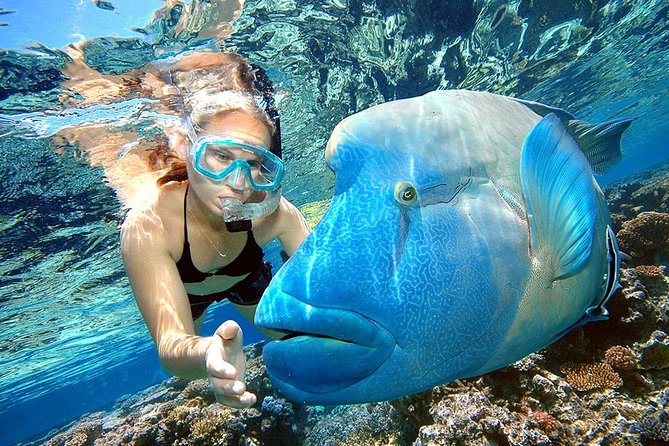 Punta Cana Combo Tour: Snorkeling, Catamaran Cruise & Parasailing - Key Highlights You Should Know Before You Go