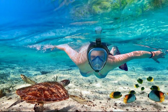 Punta Cana Combo Tour: Snorkeling, Catamaran Cruise & Parasailing - Natural Pool Stop: Swim Time, Cold Drinks, and Floating-Bar Fun