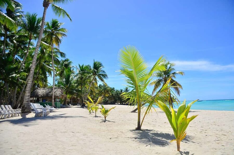 Punta cana: Island Escape to Saona • catamaran & Beach lunch - Hitting the natural pool first: the part you’ll remember