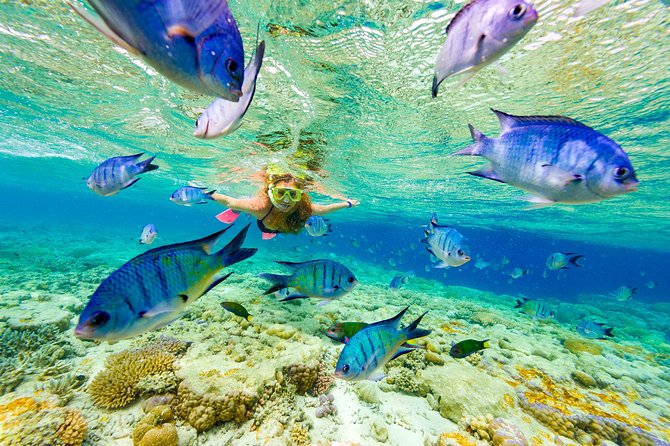 Punta Cana Parasailing & Snorkeling Cruise Experience - Quick hits before you go