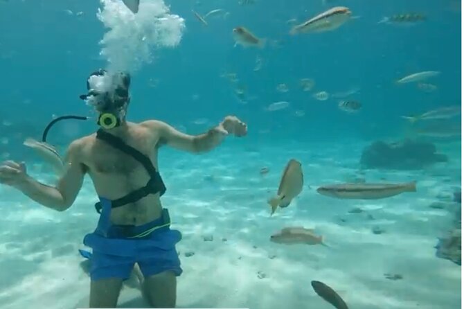 Punta Cana Party Cruise with Snorkeling, Hooka Diving and Parasailing - From Los Corales to the catamaran: getting started without wasting time