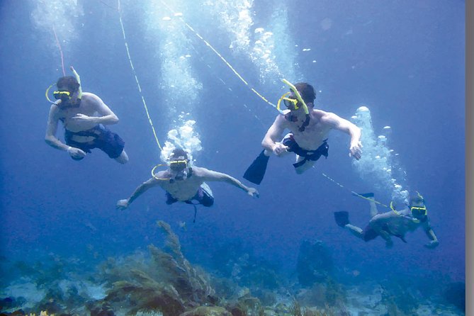 Punta Cana Party Cruise with Snorkeling, Hooka Diving and Parasailing - Price and value: is $140 worth a fast, mixed water day?