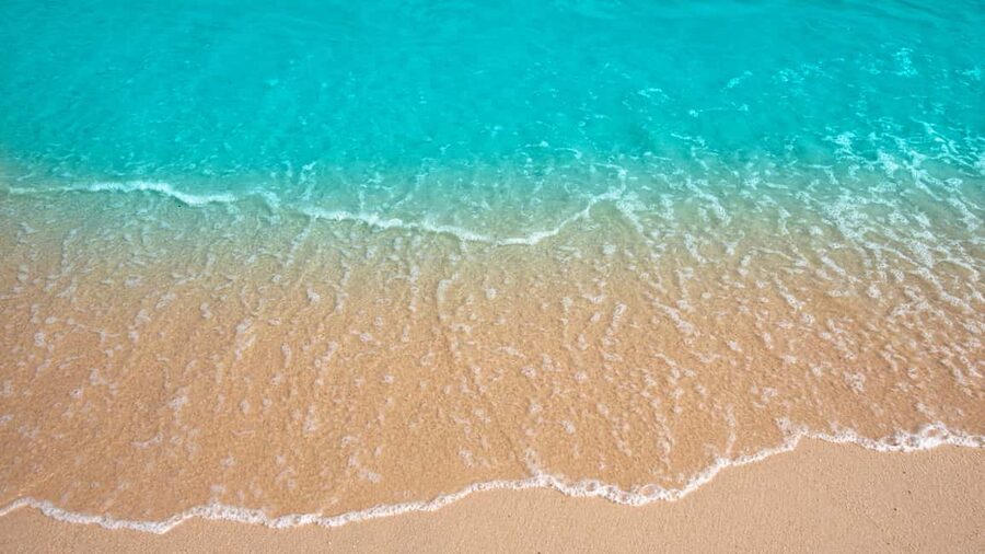 Punta Cana: Saona Island Catamaran Tour with Food & Open Bar - Photo services: plan to take your own