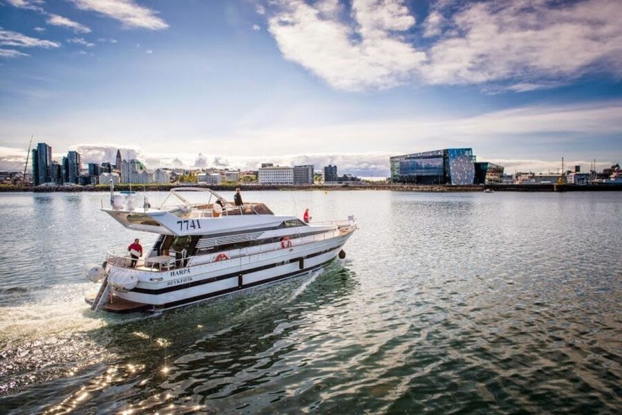 Reykjavik: Northern Lights Motor Yacht Cruise - Should you book this Northern Lights yacht cruise?