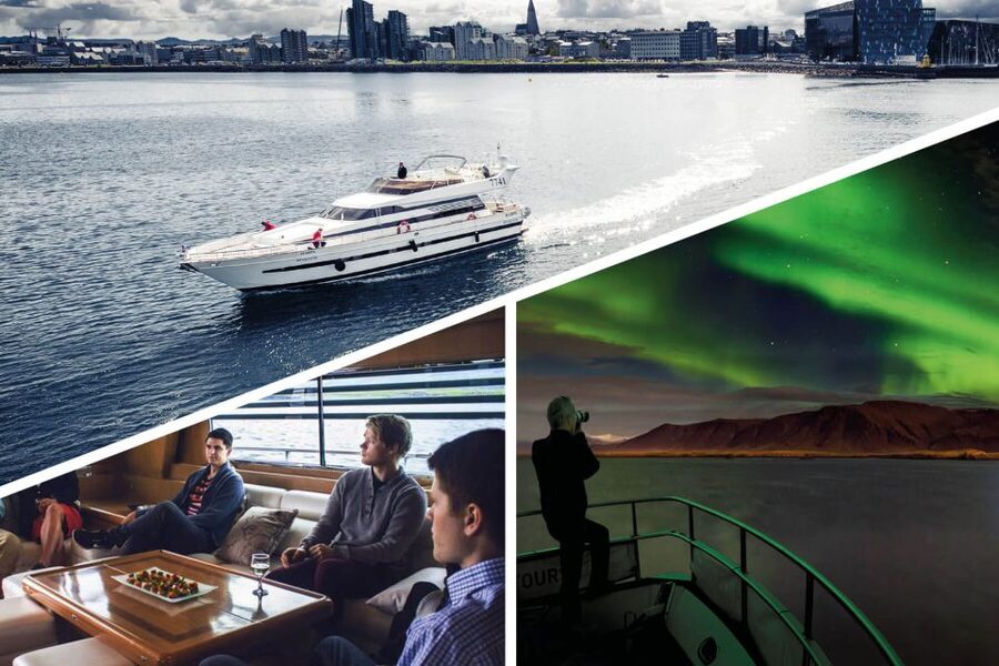 Reykjavik: Northern Lights Motor Yacht Cruise - Landmark cruise moments: Harpa, Sun Voyager, Viðey, and Höfði