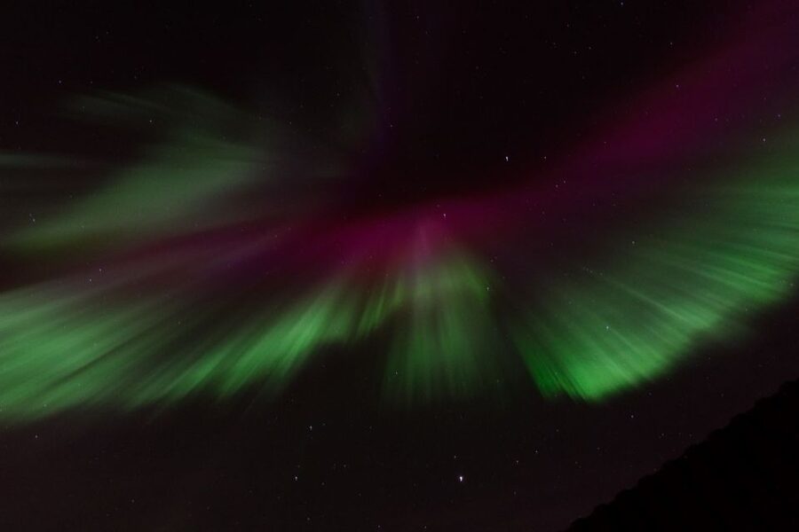 Reykjavik: Northern Lights Motor Yacht Cruise - Value check: is $99 per person worth it?