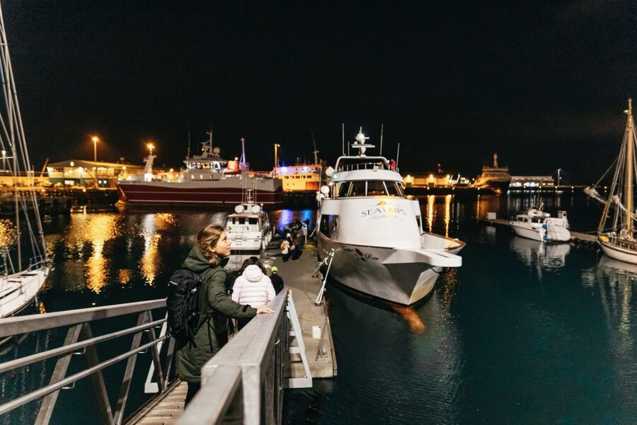 Reykjavik: Northern Lights Yacht Tour - The aurora experience: what it looks like when conditions cooperate