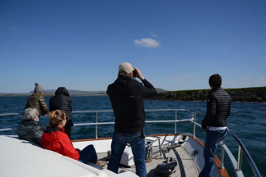 Reykjavik: Whale Watching and Dolphin Watching Yacht Cruise - Who This Tour Suits Best (and Who Might Not)