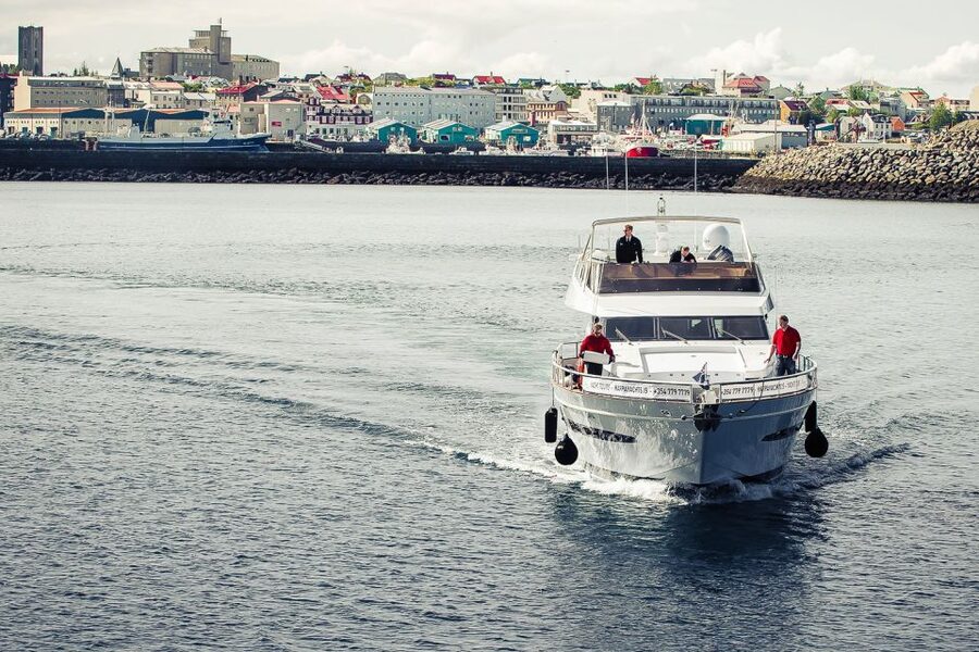 Reykjavik: Whale Watching and Dolphin Watching Yacht Cruise - Reykjavik Whale Watching From Old Harbor: What Makes It Work in Real Life