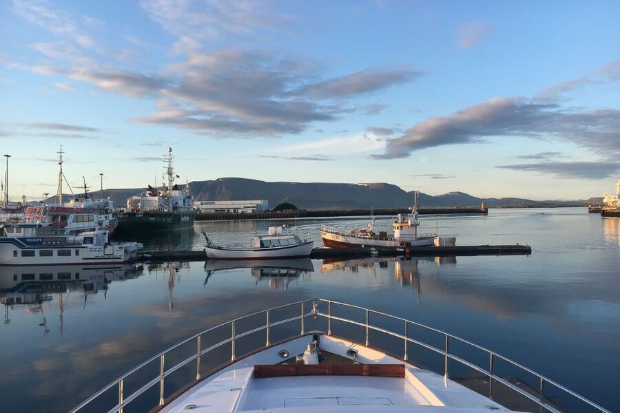 Reykjavik: Whale Watching and Dolphin Watching Yacht Cruise - MY Harpa vs MY Amelia Rose: Comfort and Crowd Levels on Deck