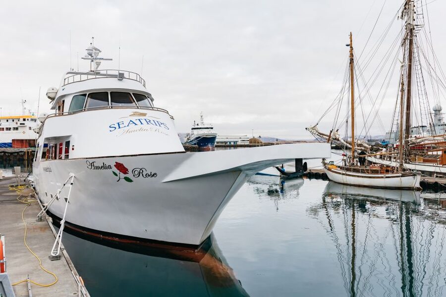 Reykjavík: Whale Watching Cruise on the Amelia Rose Yacht - Entering Old Harbor: what the Amelia Rose ride is really like