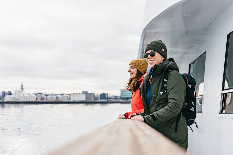 Reykjavík: Whale Watching Cruise on the Amelia Rose Yacht - What animals you might spot off Reykjavik