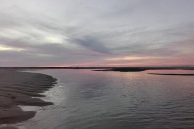 Ria Formosa Boat Sunset Islands Tour from Faro - The boat, the guide, and why the group size changes everything