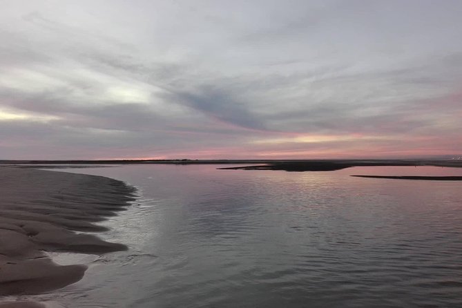 Ria Formosa Boat Sunset Islands Tour from Faro - The boat, the guide, and why the group size changes everything