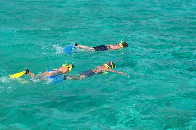 Sail and Snorkel at Cades Reef - Open Bar and Caribbean Music on the Way Back to Port