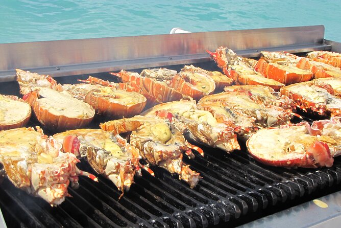 Sail and Snorkel at Cades Reef - Timing, Weather, and Stops That Can Change