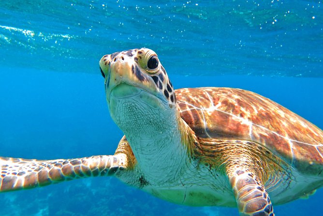 Sail/Snorkel Adventure from Sapphire Marina,STT NO CROWDS~ 6 GUEST MAX - Price and value: why $159 can make sense
